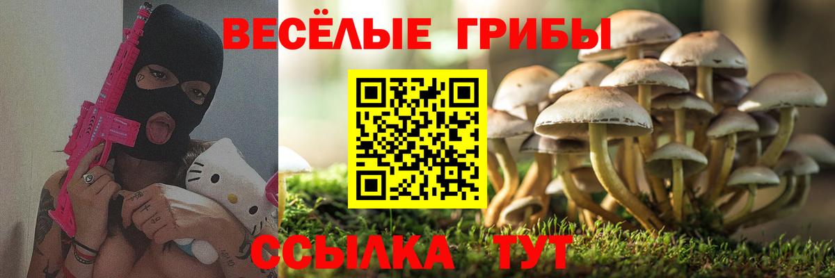 Галлюциногенные грибы мицелий  Галлюциногенные грибы мицелий  Вход с VPN  Калуга 